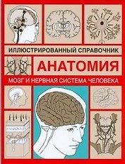 Анатомия.Мозг и нервная система человека: Иллюстрированный справочник