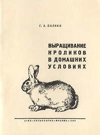 Выращивание кроликов в домашних условиях