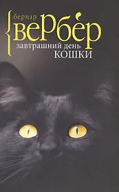 Завтрашний день кошки