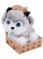 Хаски в крафт коробке