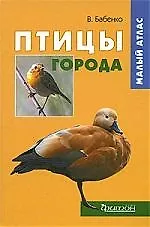 Птицы города. Малый атлас