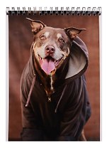 Блокнот А5 40л кл. "Dogs in da hood" спираль, ВД лак, ассорти