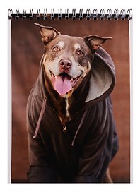 Блокнот А5 40л кл. "Dogs in da hood" спираль, ВД лак, ассорти