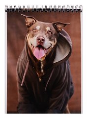 Блокнот А5 40л кл. "Dogs in da hood" спираль, ВД лак, ассорти