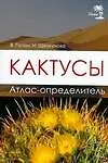Кактусы. Атлас-определитель