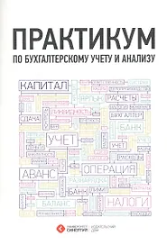 Практикум по бухгалтерскому учету и анализу. 3-е изд. стер.