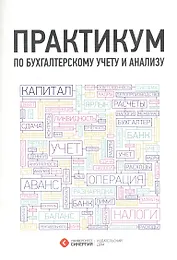 Практикум по бухгалтерскому учету и анализу. 3-е изд. стер.