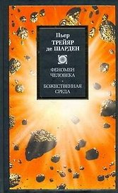 Феномен человека. Божественная среда