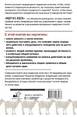 Лидер за 5 недель. Подробный и четкий план как повести за собой - 1