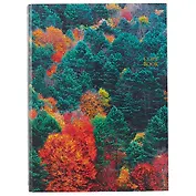 Тетрадь на кольцах в клетку Listoff, "Панорама леса", 160 листов