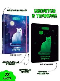 Точкабук выб.лак светящийся в темноте Кошка в ночном городе