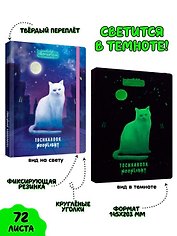 Точкабук выб.лак светящийся в темноте Кошка в ночном городе