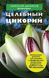 Целебный цикорий