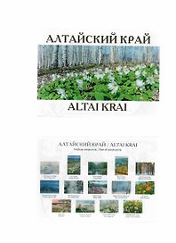 Алтайский край-2. Набор открыток (13 шт.)