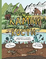 Камни и кости. Окаменелости и истории, которые они рассказывают