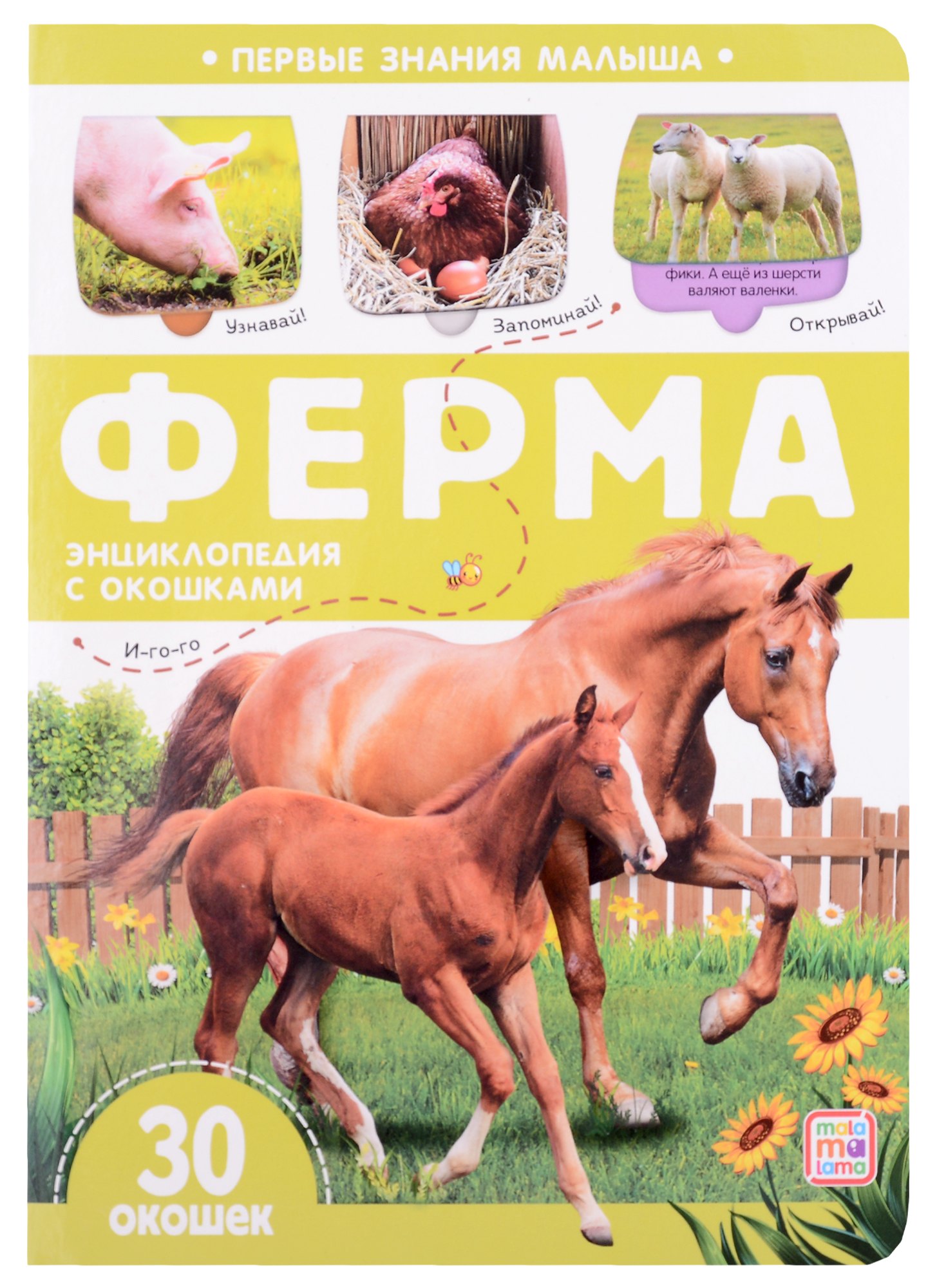 

Ферма: книжка с окошками