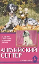 Английский сеттер