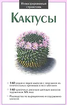 Кактусы