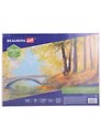 Холст на картоне 30*40см грунтованный, 100% хлопок, мелкое зерно, BRAUBERG ART CLASSIC