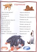 Собаки и щенки - 1