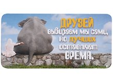 КАЗБАЕВ Магнит Цитаты, 11х5,5см, Ц018