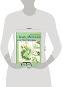 Рисуем цветными карандашами: Шаг за шагом - 1