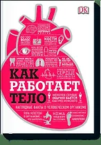 Как работает тело