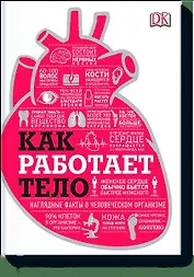 Как работает тело