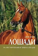 Лошади Иллюстрированная энциклопедия