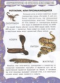 Экзотические обитатели Земли - 2