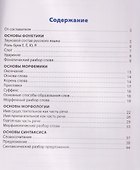 Все виды разбора в русском языке - 1