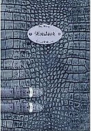 Записная книжка А6- 200л "NOTEBOOK" 29679, офсет, 7БЦ, поролон, глянц.лам., ляссе, вырубка, Феникс