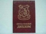 Опоздательный диплом (AE0000765) (Мастер)