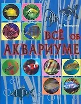 Все об аквариуме