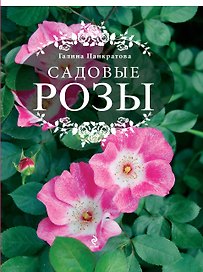 Садовые розы. Большая энциклопедия