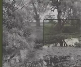 Сними мне Левитана!