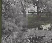 Сними мне Левитана!