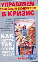 Управляем семейным бюджетом в кризис. Антикризисная книга