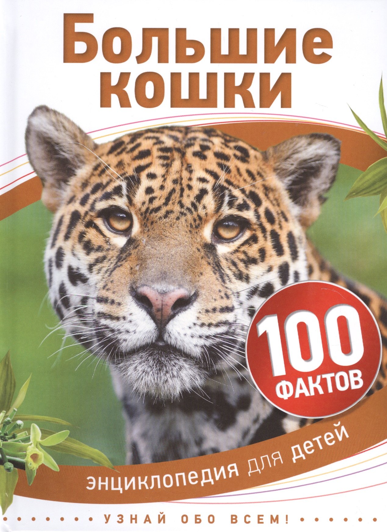 

Большие кошки