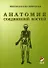 Гайворонский  Анатомия соединений костей 2010 г. 56 с. - 0