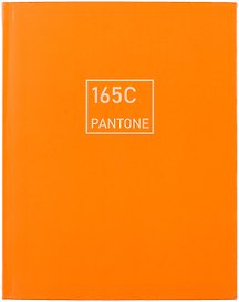 Книга для записей А5+ 96л тчк. "Рыжая лиса" интеграл.перепл., матов.ламин., выб.лак