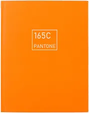 Книга для записей А5+ 96л тчк. "Рыжая лиса" интеграл.перепл., матов.ламин., выб.лак