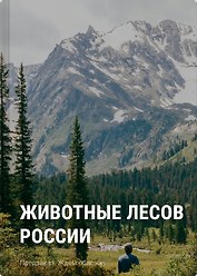 Животные лесов России