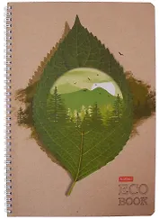 Тетрадь в клетку Hatber, "Экобук", А4, 96 листов, в ассортименте