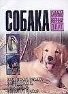Мини.Собака-самый верный друг