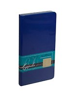 Еженедельник недат. А6 80л "MEGAPOLIS VELVET" синий, иск.кожа, тонир.блок, золотой обрез, ляссе, Bruno Visconti