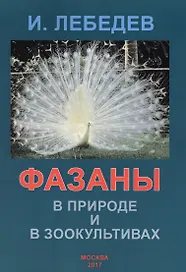 Фазаны в природе и в зоокультивах Уч. пос. (м) Лебедев
