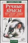 В вашем доме:Ручные крысы