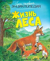 Жизнь леса