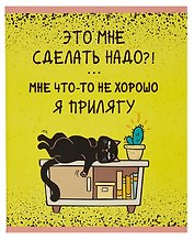 Тетрадь общая «День кота», 48 листов в клетку, в ассортименте, А5 - Listoff